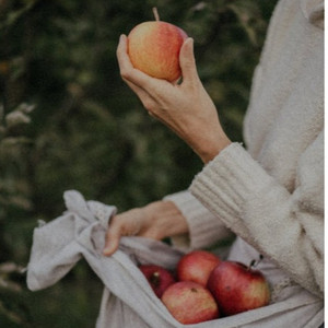 夜兰被丘丘人抓住繁衍后代

